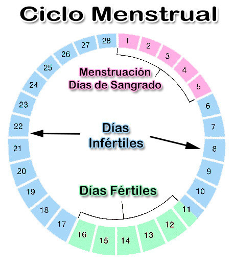 La quedar mujer teniendo una se embarazada regla puede